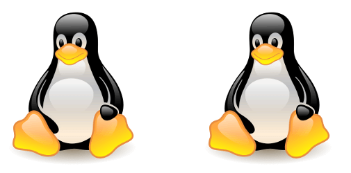 twin-linux-penguins Image Alternative Text